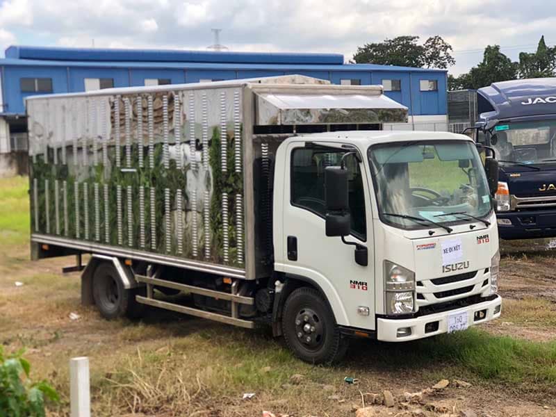 Xe Tải Chở Gà con Isuzu 1.8 Tấn thùng 4.3m